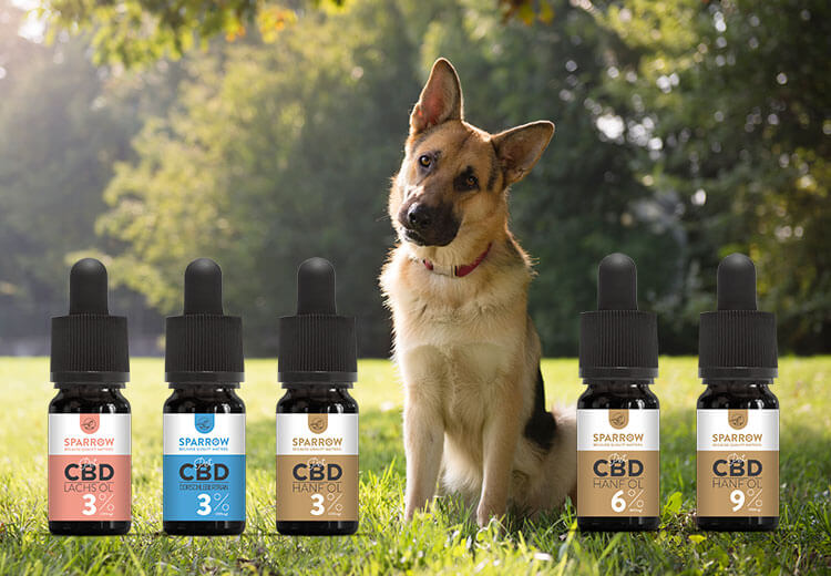 Focus on the quality of ingredients used in the products to know the effectiveness of CBD.